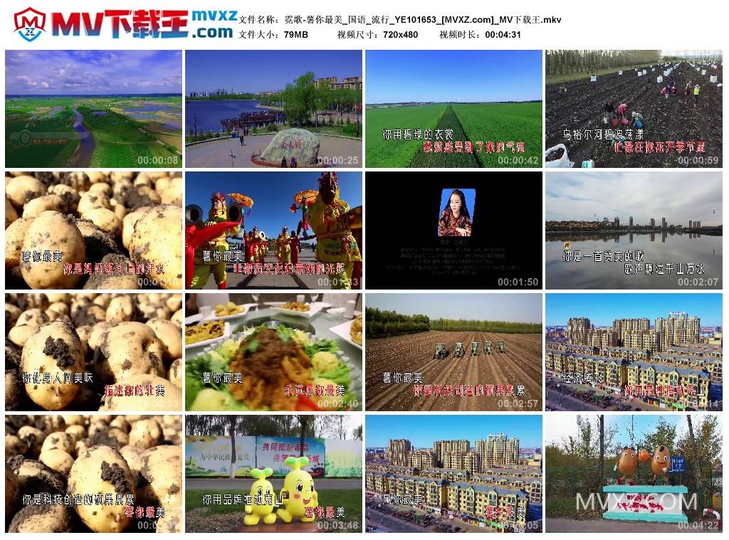 霓歌-薯你最美_国语_流行_YE101653